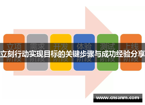 立刻行动实现目标的关键步骤与成功经验分享