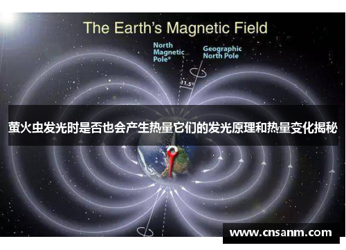 萤火虫发光时是否也会产生热量它们的发光原理和热量变化揭秘